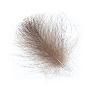 HENDS Перья CDC BEIGE GRAY (25шт)
