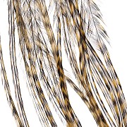 Перья Whiting, цвет Grizzly dyed Golden Straw, 2 шт.