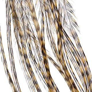 Перья Whiting, цвет Grizzly dyed Golden Straw, 2 шт.
