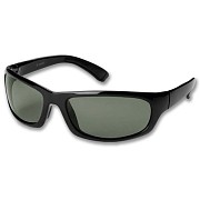 FE Поляризационные очки Permit 14AO Shiny Black Frame/ Gray Lens M/L