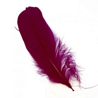 VENIARD Гусиные перья Goose shoulder Stiff Dyed Claret-Dark