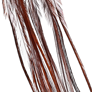 Перья Whiting, цвет коричн., 2 шт.