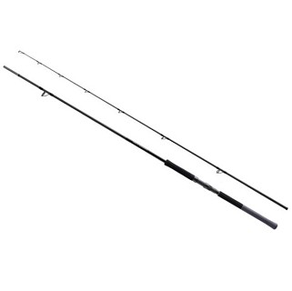 Спиннинг SHIMANO 25 Salty Advance Shore Jigging S100H 3.04m max 100g 											