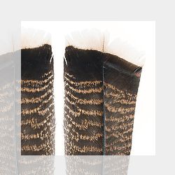 Перья индюка