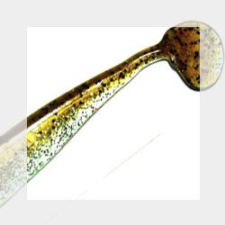 Kingshad 5"