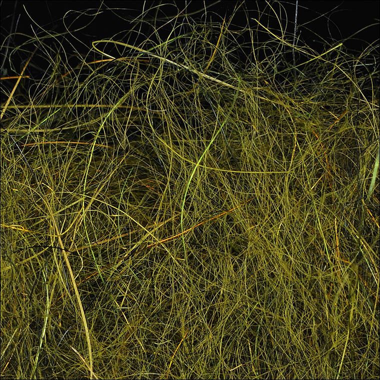 WAPSI Даббинг SLF Dave Whitlock Dubbing SCULPIN OLIVE