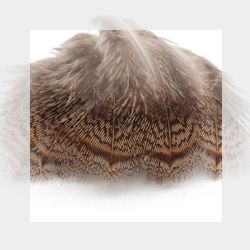 Перья куропатки