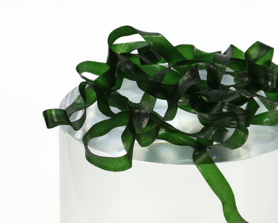SV Материал для тела Body Stretch 4мм,  #05 Dark Green