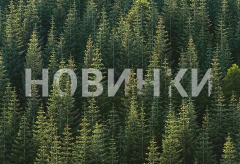 Рыболовные новинки 2017 года