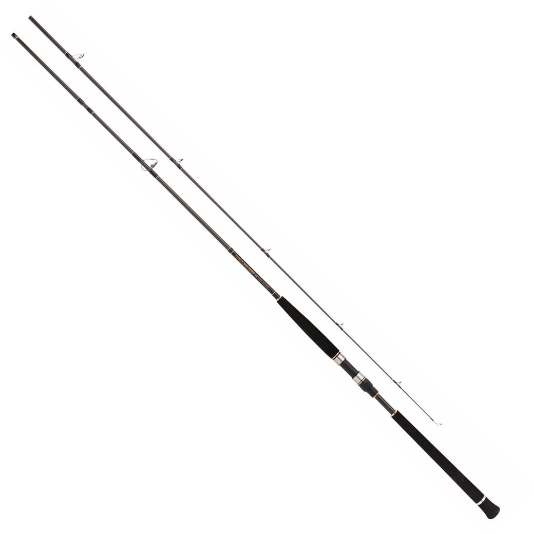 Спиннинг PROMARINE Shore Jig Rounder 100MH 3.0m max 100g
