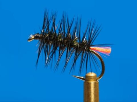 Сухая нахлыстовая мушка "Red Tag Palmer"