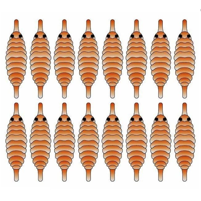 Zima&лето Спинки для имитации Гаммаруса №8, коричневый (16шт)