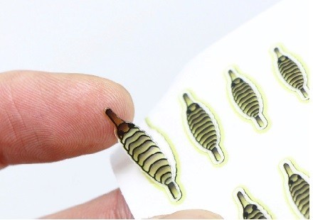 Набор "Спинки Бокоплавов" (20 шт), зеленый