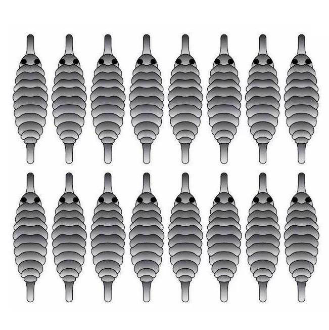 Zima&лето Спинки для имитации Гаммаруса №8, серый (16шт)