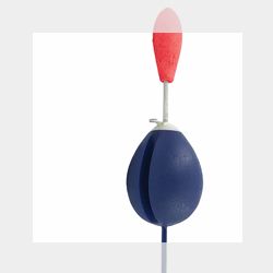 Поплавки сибирские