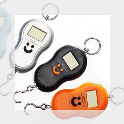 Весы, безмены