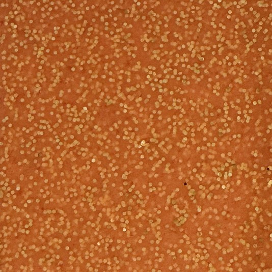 JPF Силикон светонакопительный Wakasagi Glow 5х5см, #19 оранжевый с блестками