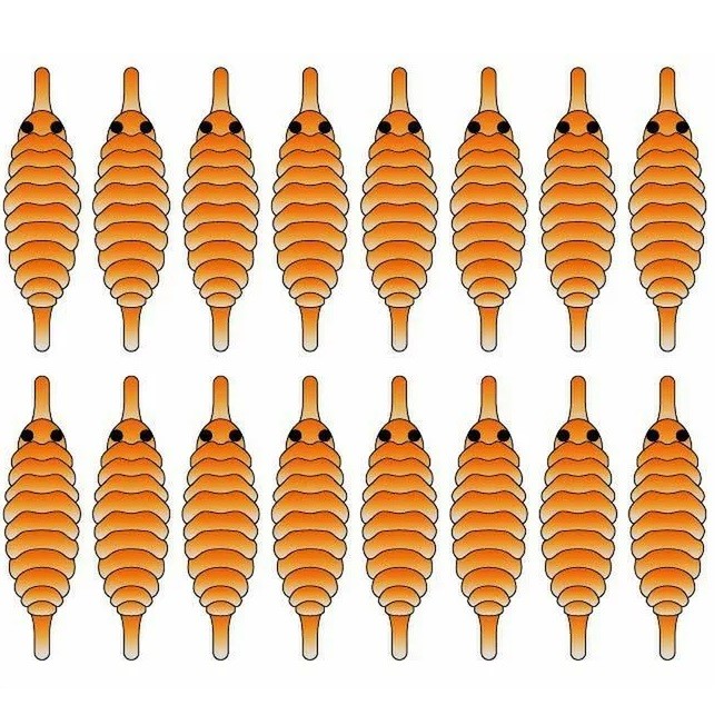 Zima&лето Спинки для имитации Гаммаруса №10, оранжевый (16шт)