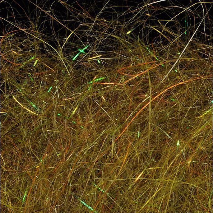 WAPSI Даббинг SLF Dave Whitlock Dubbing DIRTY OLIVE #26