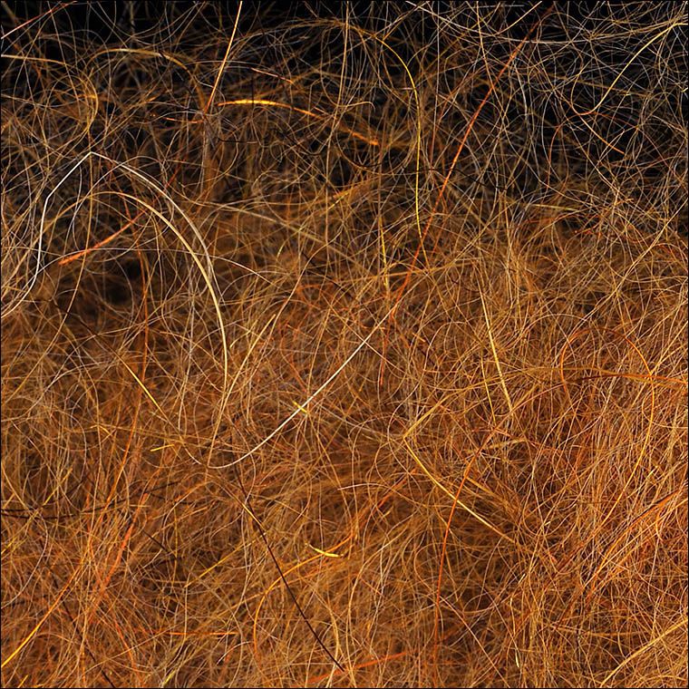 WAPSI Даббинг SLF Dave Whitlock Dubbing SCULPIN GOLDEN BROWN #18