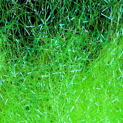  Даббинг HENDS Products Microflash Dubbing Chartreuse #89