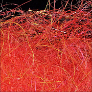 WAPSI Даббинг SLF Kaufmann FLAME STIMULATOR #154