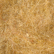 WAPSI Даббинг Life Cycle Caddis Dubbing GINGER