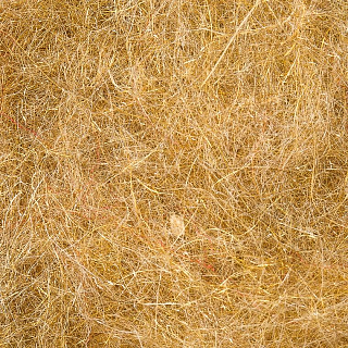 WAPSI Даббинг Life Cycle Caddis Dubbing GINGER