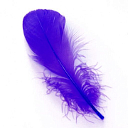 VENIARD Гусиные перья Goose shoulder Stiff Dyed Purple