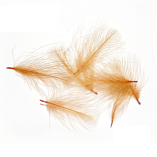 HENDS Перья CDC 1гр. CINNAMON