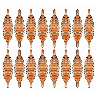 Zima&лето Спинки для имитации Гаммаруса №10, коричневый (16шт)