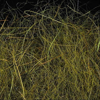 WAPSI Даббинг SLF Dave Whitlock Dubbing SCULPIN OLIVE