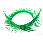 FLY-FISHING Гусиные биоты GOOSE BIOTS 6" UP Green