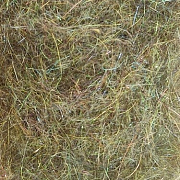 Zima&лето Даббинг МЕДВЕДЬ SLF, оливковый