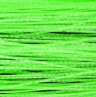 TEXTREME Синтетическое волокно Phosphorescent Fibers 1/69" 73-Green