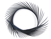 FLY-FISHING Гусиные биоты GOOSE BIOTS 6" UP Black