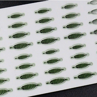 Набор "Спинки Бокоплавов" (20 шт), зеленый