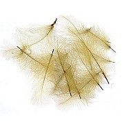 FLY-FISHING Перья CDC Golden Olive (0,2 гр.)