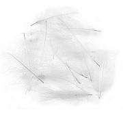 FLY-FISHING Перья CDC Natural White (0,2 гр.)