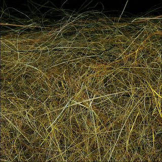 WAPSI Даббинг SLF Dave Whitlock Dubbing DAMSEL NYMPH TAN #12