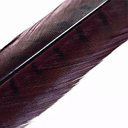 HENDS Центральное хвостовое перо фазана Pheasant Tail 1 шт. Claret