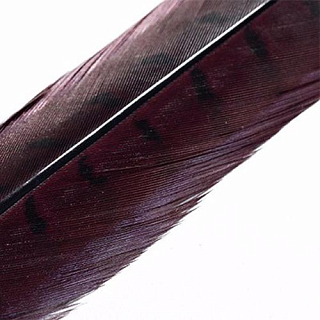 HENDS Центральное хвостовое перо фазана Pheasant Tail 1 шт. Claret