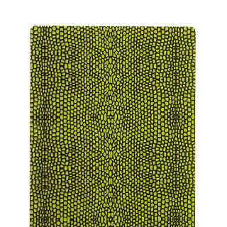 WAPSI Пленка Thin Skin GATOR OLIVE/BLACK