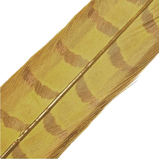 HENDS Центральное хвостовое перо фазана Pheasant Tail 1 шт. Yellow 