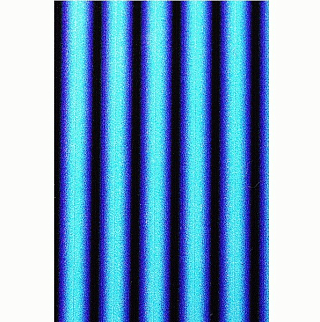 Сибирский Лов Пленка для тела Зебра-градиент 2 мм прозрачная (цвет 11)