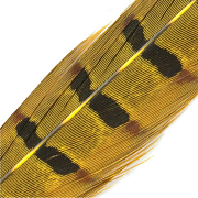 HENDS Центральное хвостовое перо фазана Pheasant Tail 1 шт. Yellow Olive