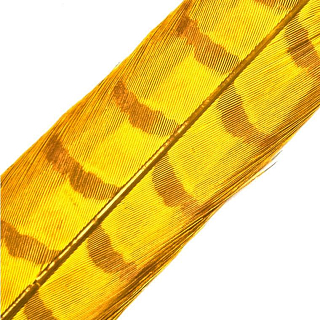 HENDS Центральное хвостовое перо фазана Pheasant Tail 1 шт. Golden Yellow