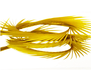 Semperfli Гусиные биоты Goose Biots Dyed GOLDEN OLIVE