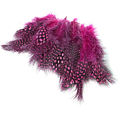 NATURES SPIRIT Перья цесарки GUINEA HACKLE 24 select feathers Hot Pink