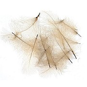 FLY-FISHING Перья CDC Pale Brown (0,5 гр.)